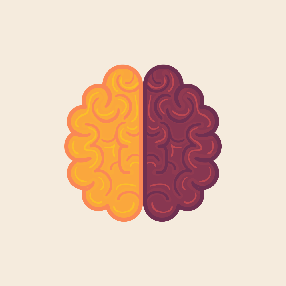 A graphic illustration of a brain, where the left half is colored yellow and the right red