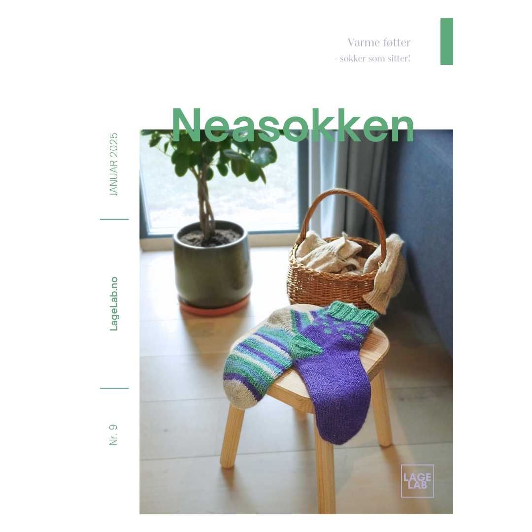 Neasokken